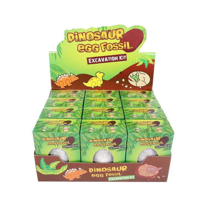 Dinosaur Egg Fossil